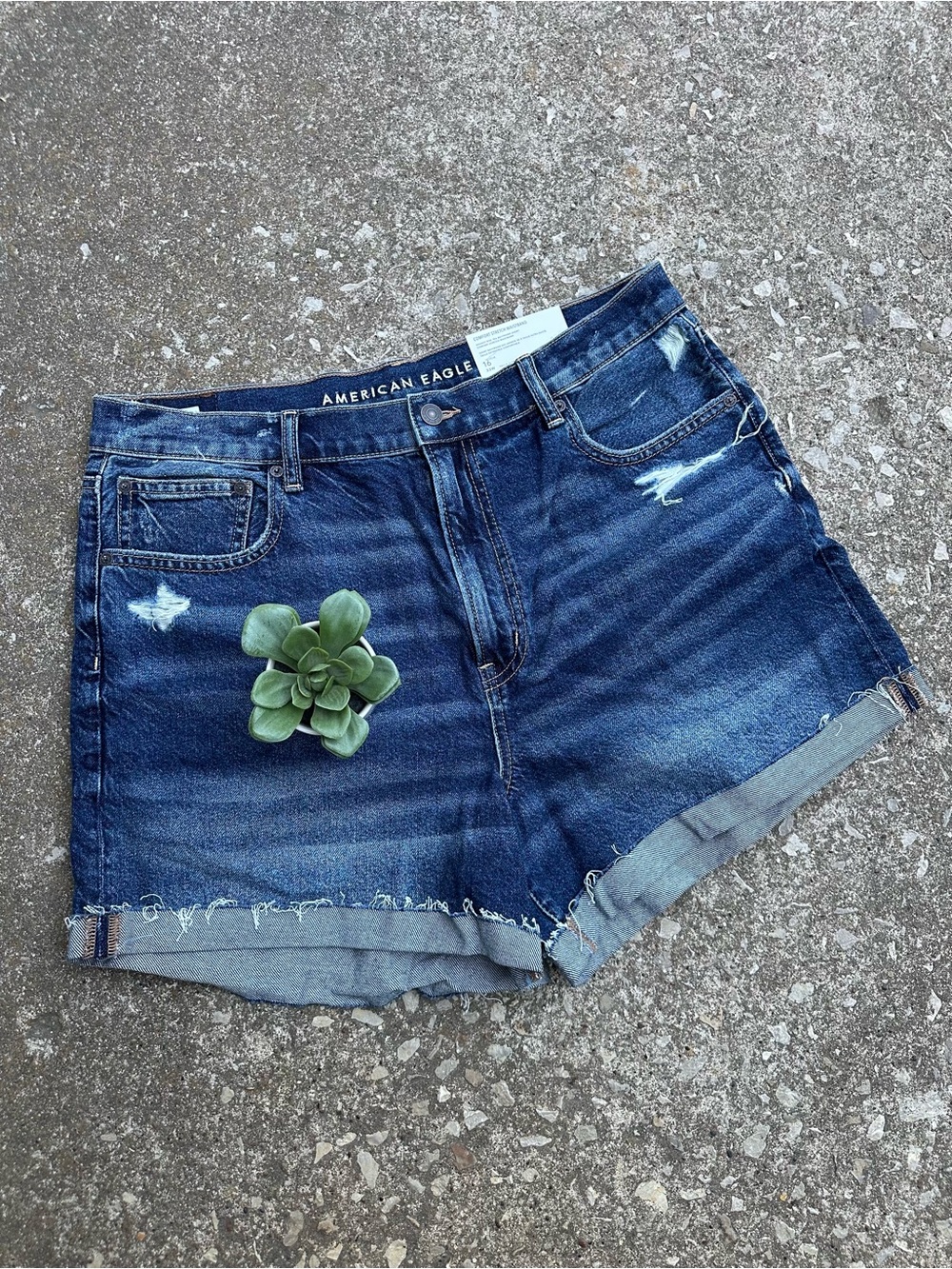 American Eagle Outfitters | Highest Rise 90s Boyfriend Short Distressed